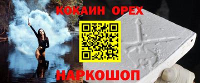 молекула духа Кингисепп