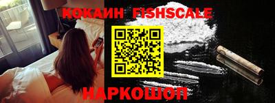 молекула духа Кингисепп