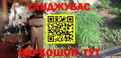 молекула духа Кингисепп