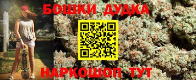 молекула духа Кингисепп