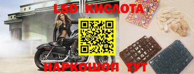 прущие крисы Кимры